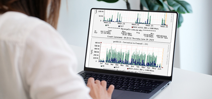 Woman looking at graphs on laptop screen